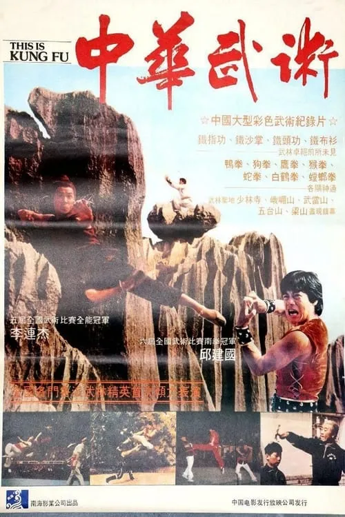 This Is Kung Fu (movie)