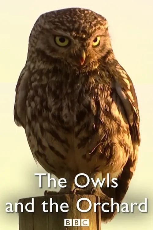 The Owls and the Orchard (movie)