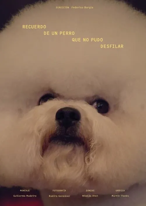 Recuerdo de un perro que no pudo desfilar (фильм)