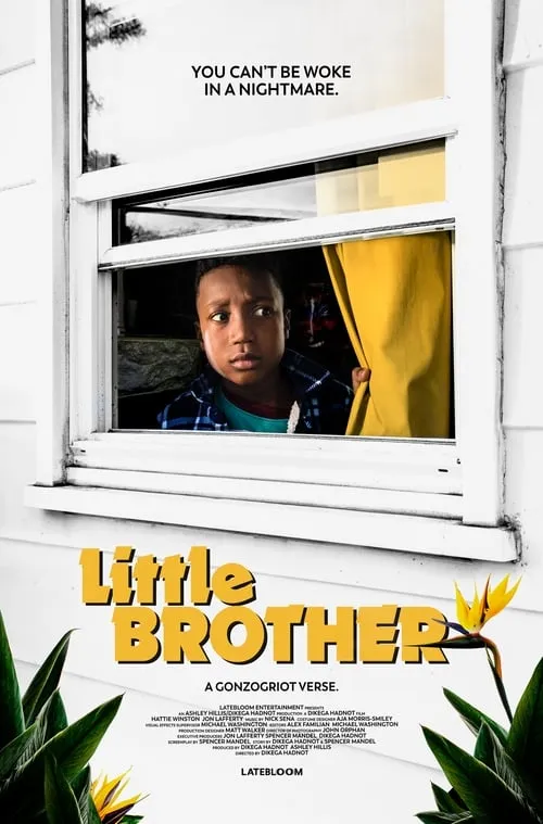 Little Brother (фильм)