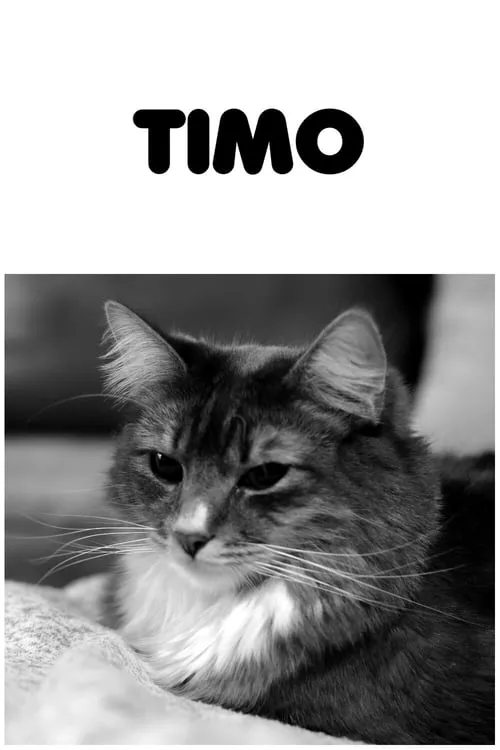 Timo (фильм)