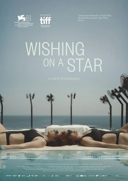 Wishing on a Star (movie)