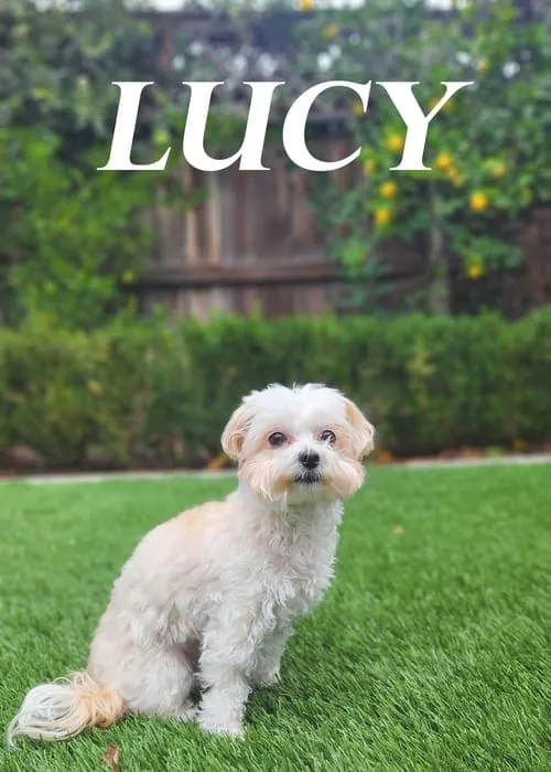 Lucy (movie)