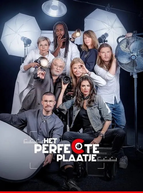 Het Perfecte Plaatje (сериал)