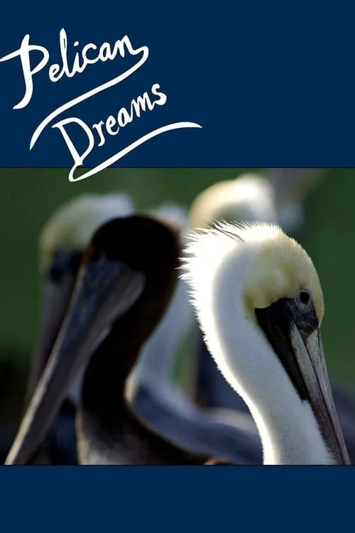 Pelican Dreams (фильм)