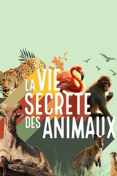 La vie secrète des animaux (сериал)