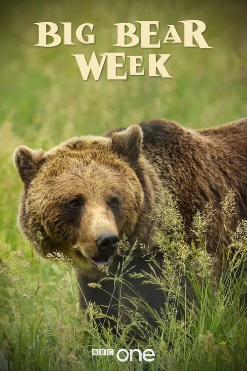 Big Bear Week (сериал)