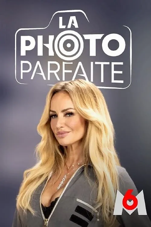 La Photo parfaite (series)