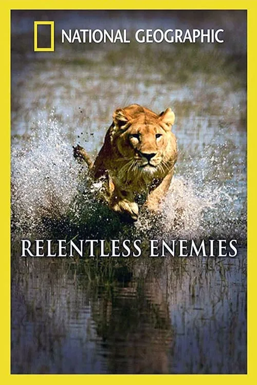 Relentless Enemies: Lions and Buffalo (movie)