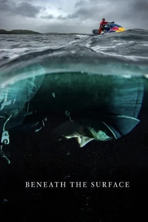 Beneath the Surface: Chasing a Secret Slab (фильм)