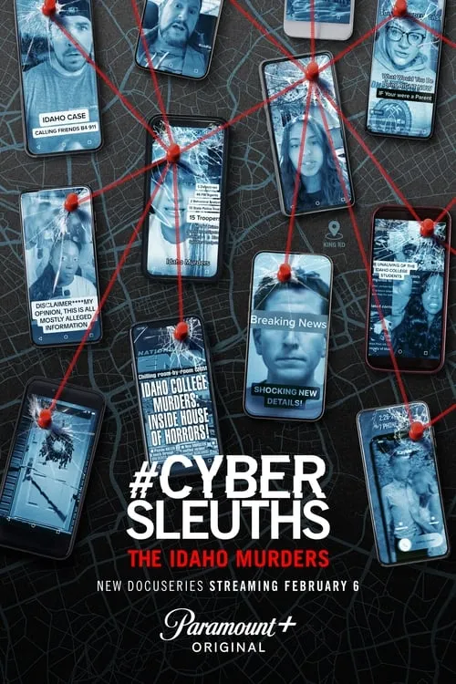 #CyberSleuths: The Idaho Murders (сериал)