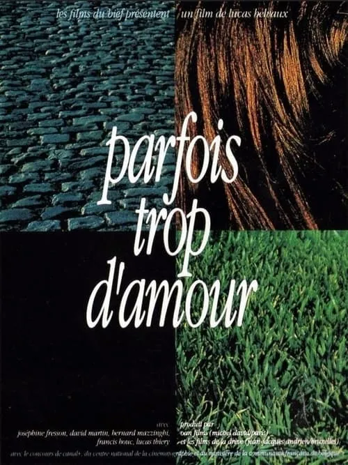 Parfois trop d'amour (фильм)