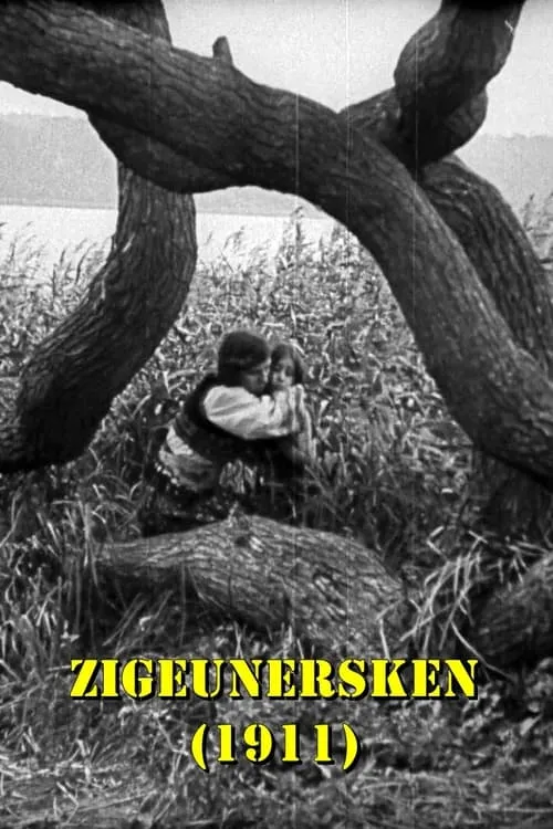 Zigeunersken (фильм)