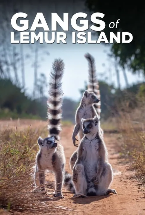 Gangs of Lemur Island