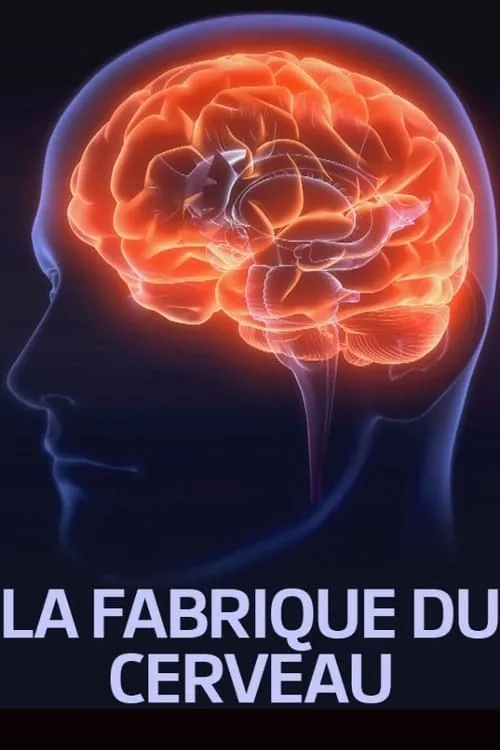 La fabrique du cerveau (movie)