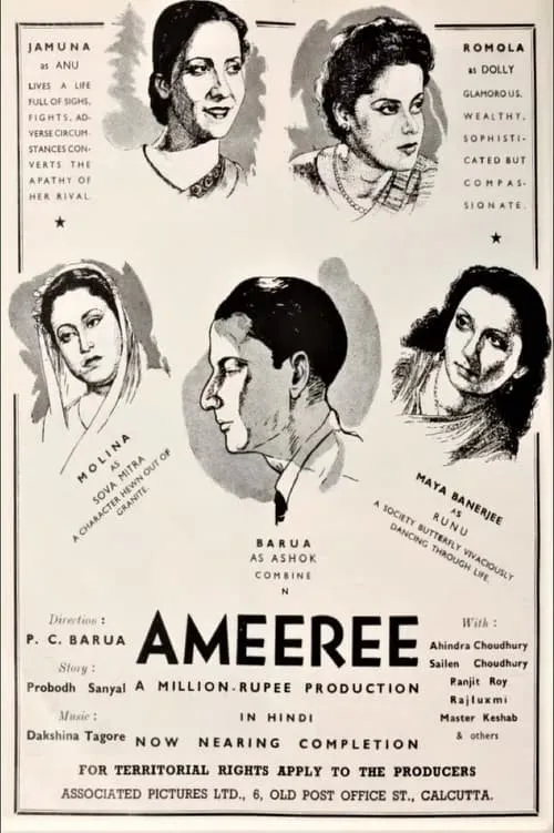 Ameeree (фильм)