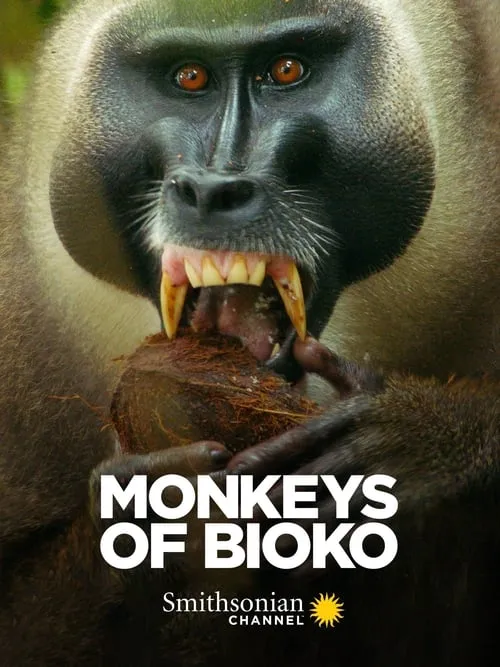 Monkeys of Bioko (movie)