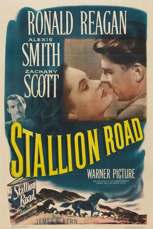 Stallion Road (фильм)