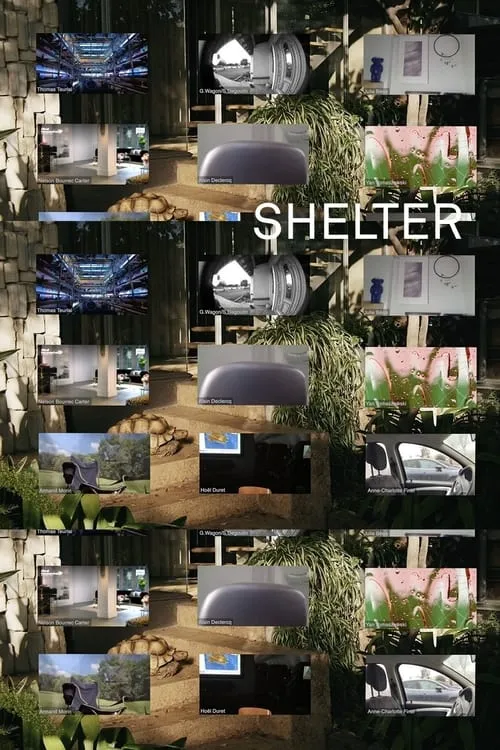 Shelter (фильм)