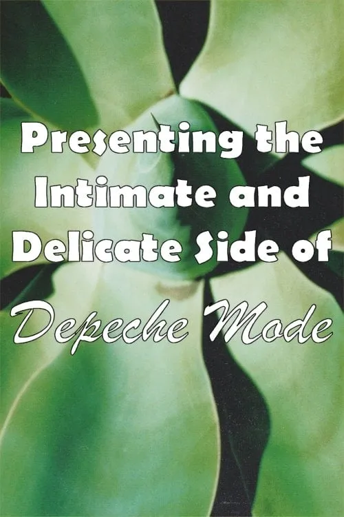 Depeche Mode: 1999–2002 “Presenting the Intimate and Delicate side of Depeche Mode” (movie)