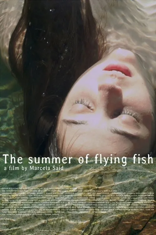 The Summer of Flying Fish (movie)