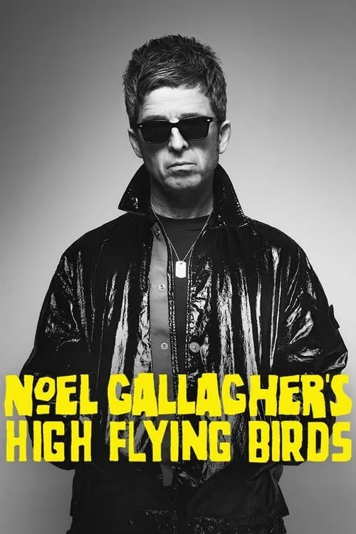 Noel Gallagher's High Flying Birds en concert au Zénith de Paris (фильм)