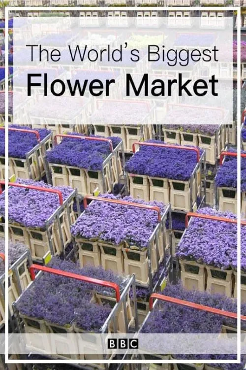 The World's Biggest Flower Market (movie)