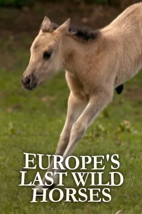 Europe's Last Wild Horses (movie)