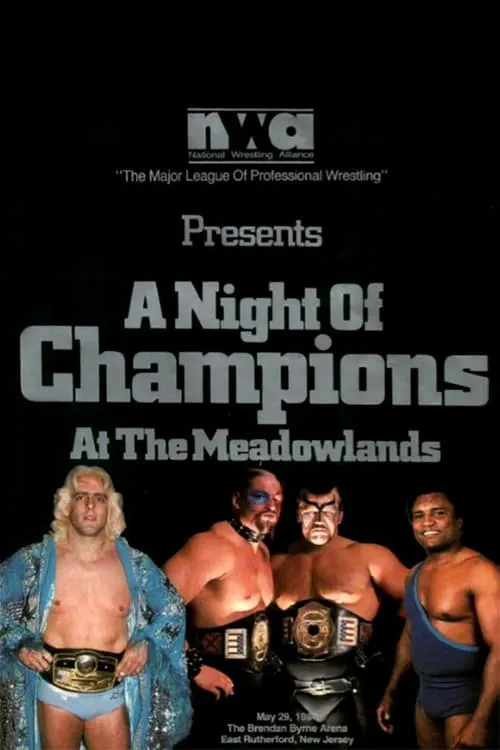 NWA Night of Champions (movie)