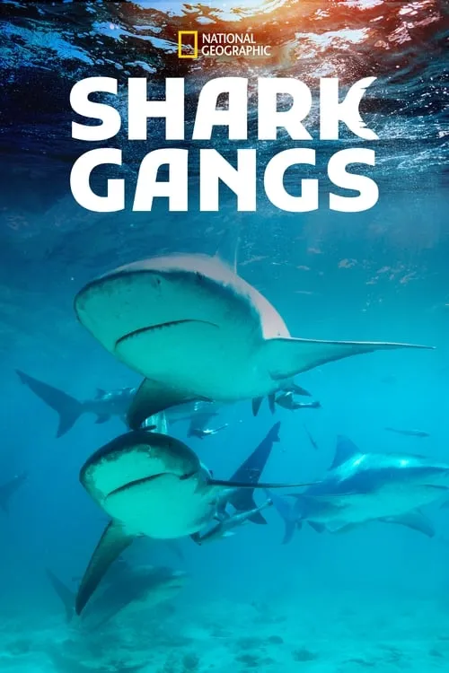 Shark Gangs (фильм)