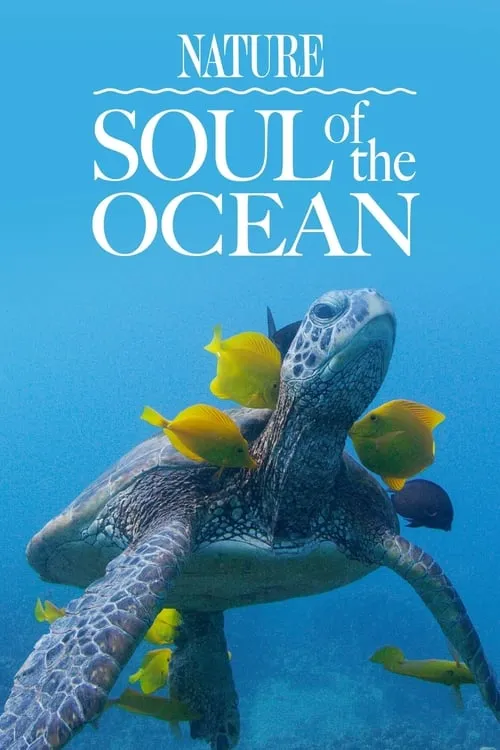 Soul of the Ocean (фильм)