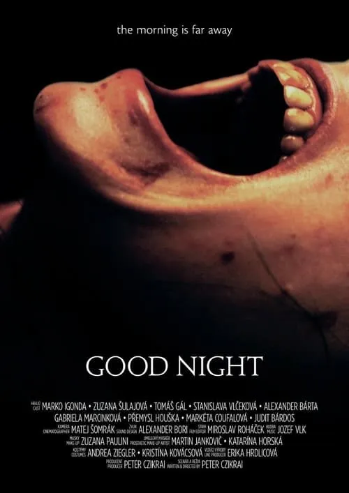 Good Night (movie)