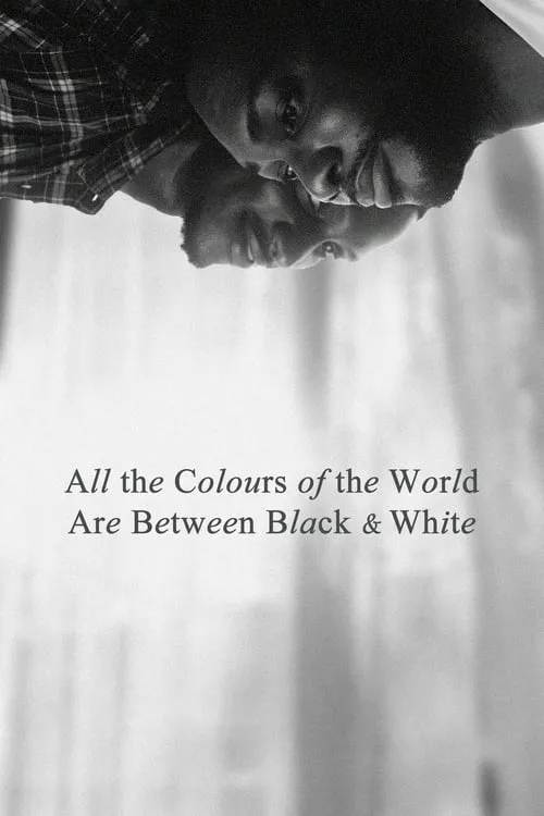 All the Colours of the World Are Between Black and White (фильм)