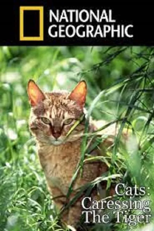 Cats: Caressing The Tiger (movie)