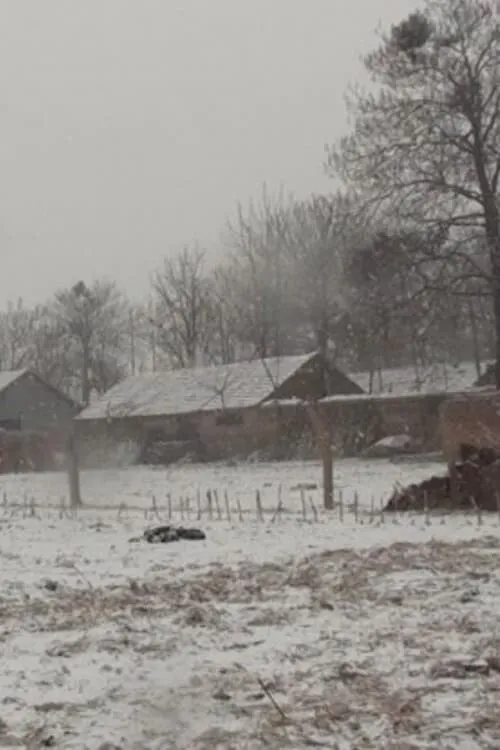 Attacking Zhanggao Village