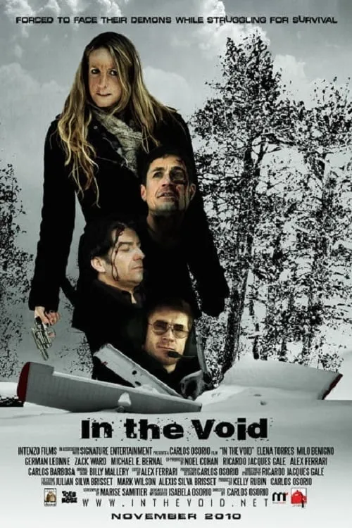 In the Void (movie)