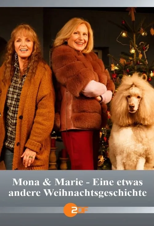 Mona & Marie - Eine etwas andere Weihnachtsgeschichte (movie)