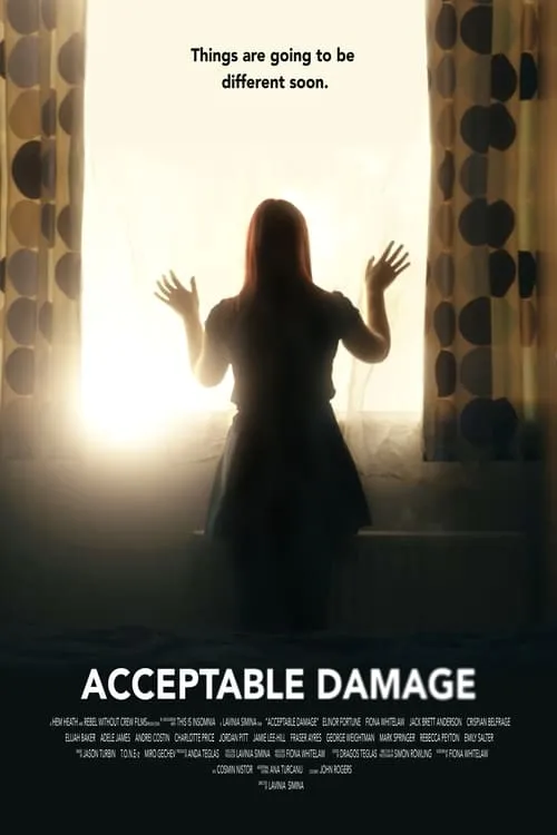 Acceptable Damage (movie)