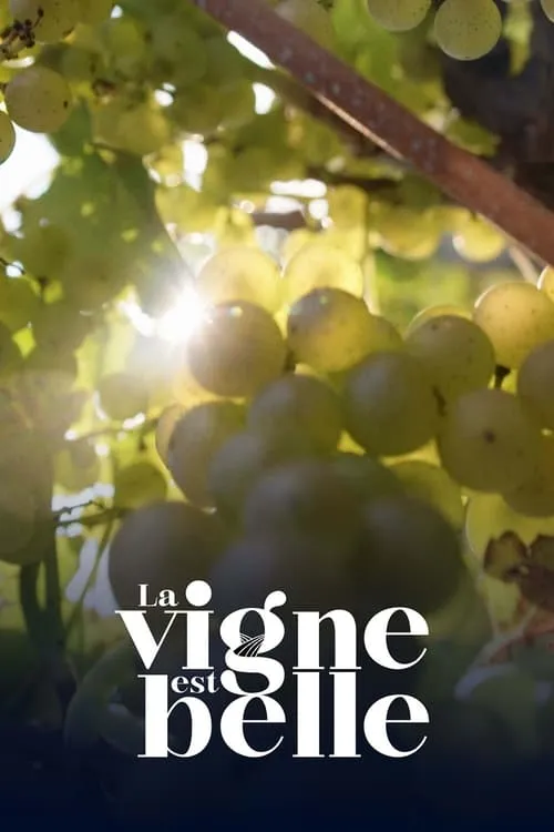 La vigne est belle (series)