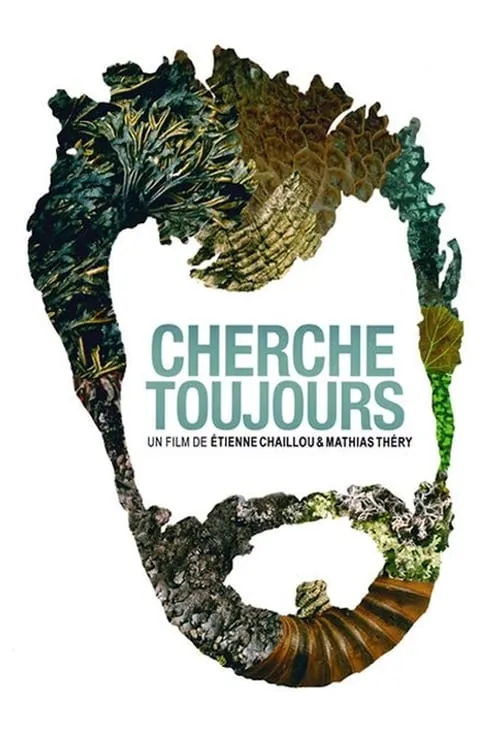 Cherche toujours (movie)