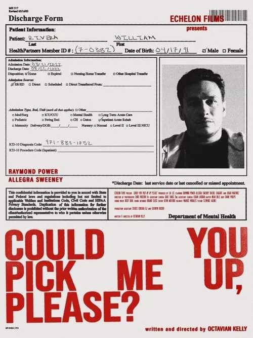 Could You Pick Me Up, Please? (movie)