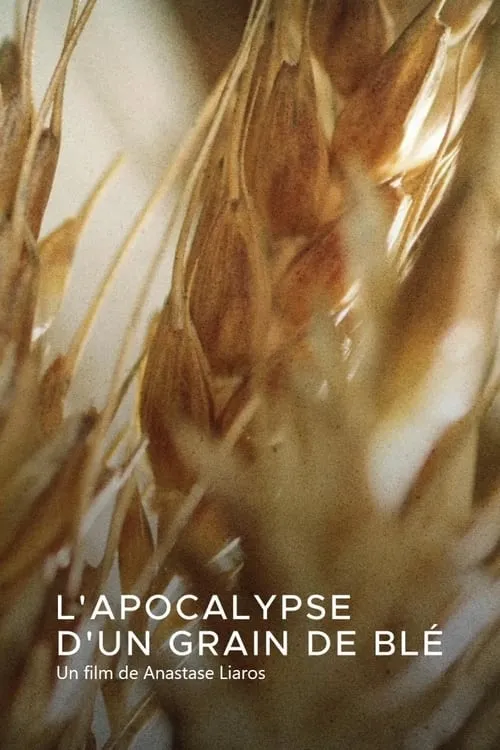 L'apocalypse d'un grain de blé (movie)