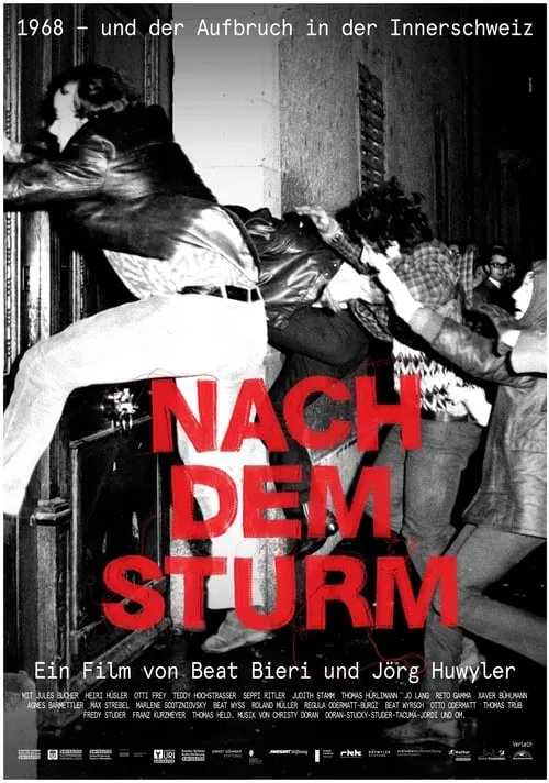 Nach dem Sturm (фильм)