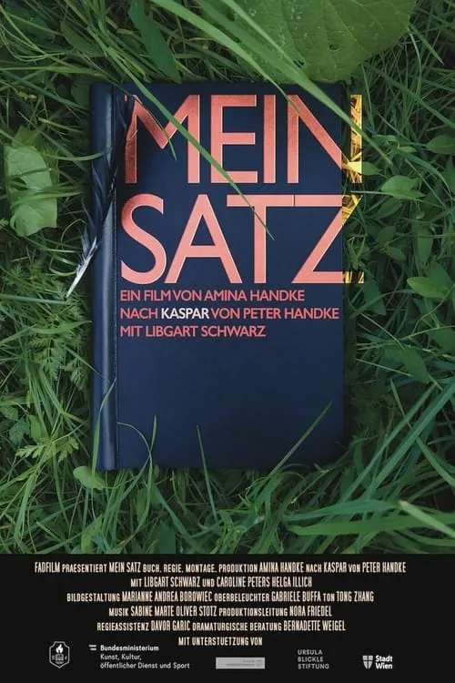 Mein Satz (фильм)