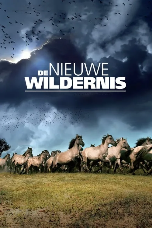 De Nieuwe Wildernis (фильм)