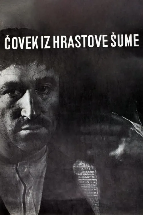 Čovek iz hrastove šume (фильм)