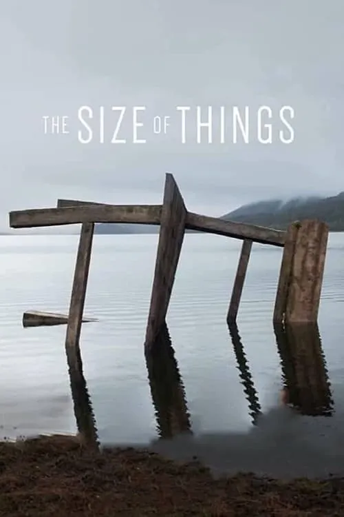 The Size of Things (movie)