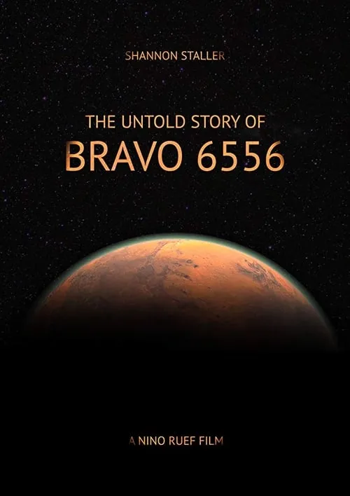 Bravo 6556 (фильм)