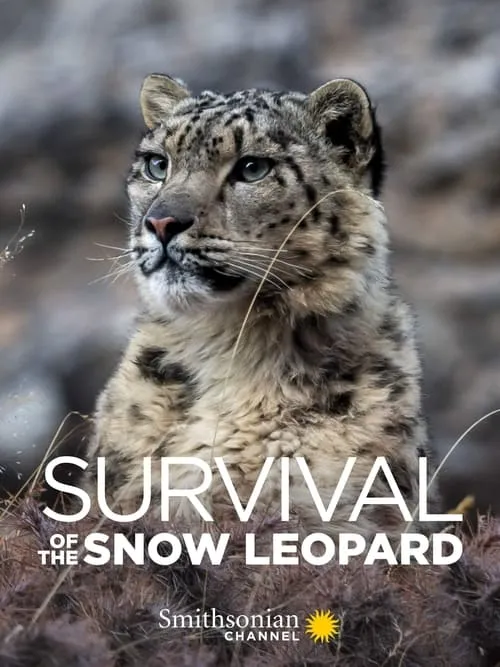 Survival Of The Snow Leopard (movie)