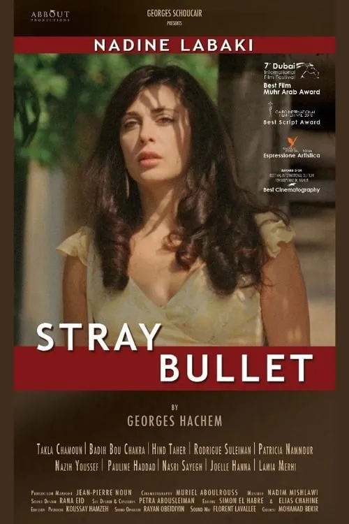 Stray Bullet (movie)